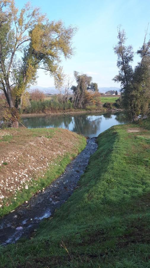 Sulla Ciclabile Apartment Lungo Il Fiume Adige Zevio Exterior foto