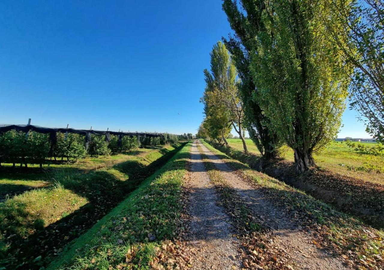 Sulla Ciclabile Apartment Lungo Il Fiume Adige Zevio Exterior foto