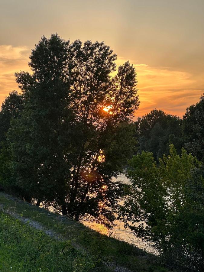 Sulla Ciclabile Apartment Lungo Il Fiume Adige Zevio Exterior foto